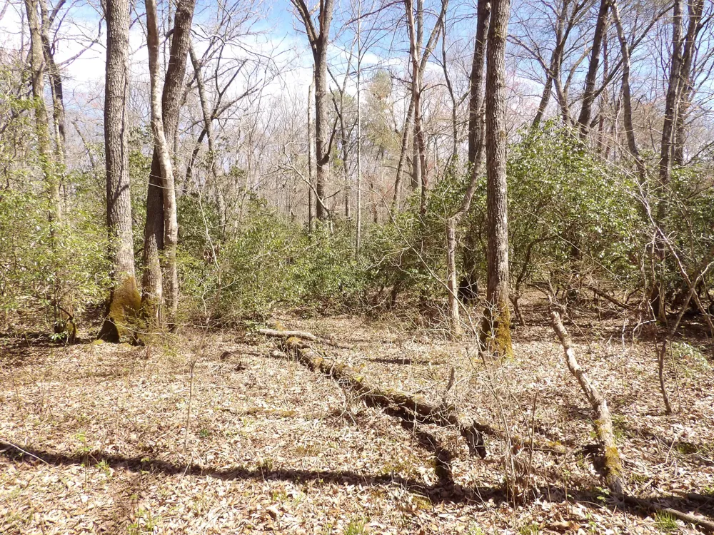 76 Pine Road Pikeville, TN 37367