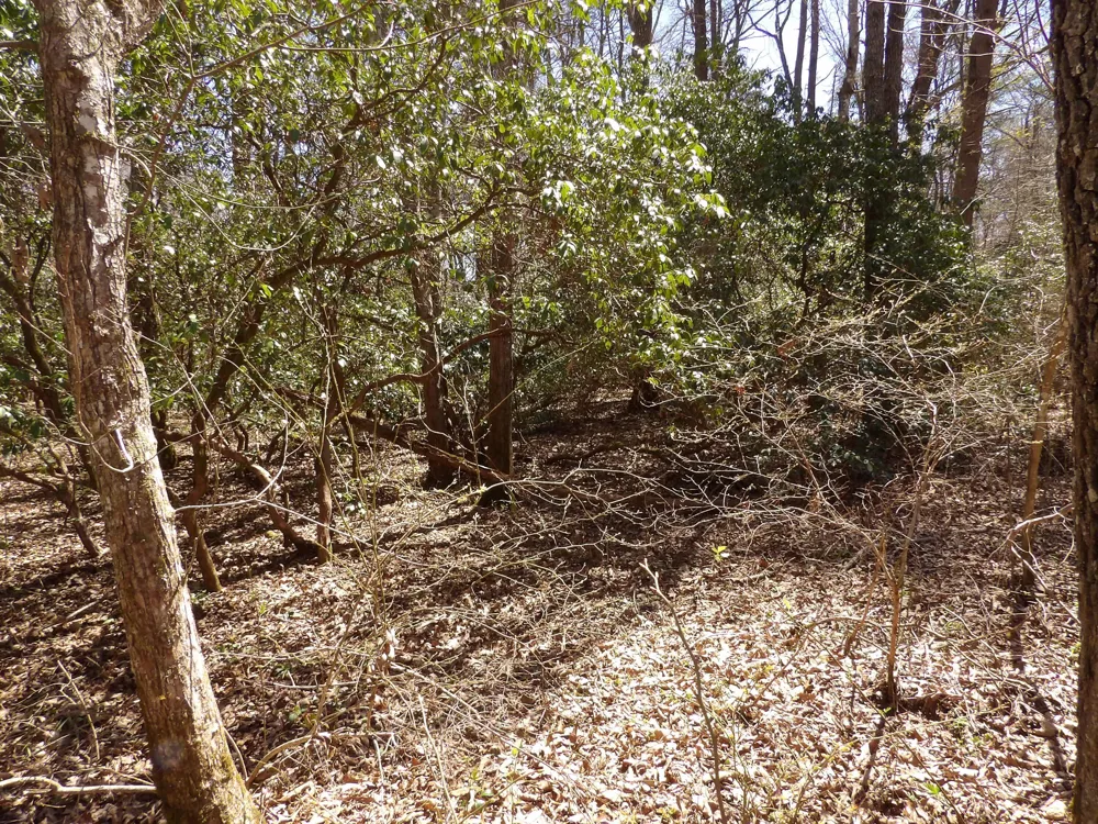 76 Pine Road Pikeville, TN 37367