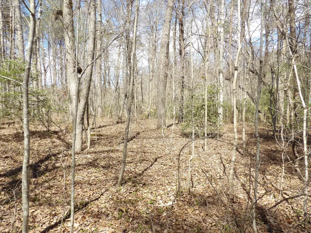 76 Pine Road Pikeville, TN 37367