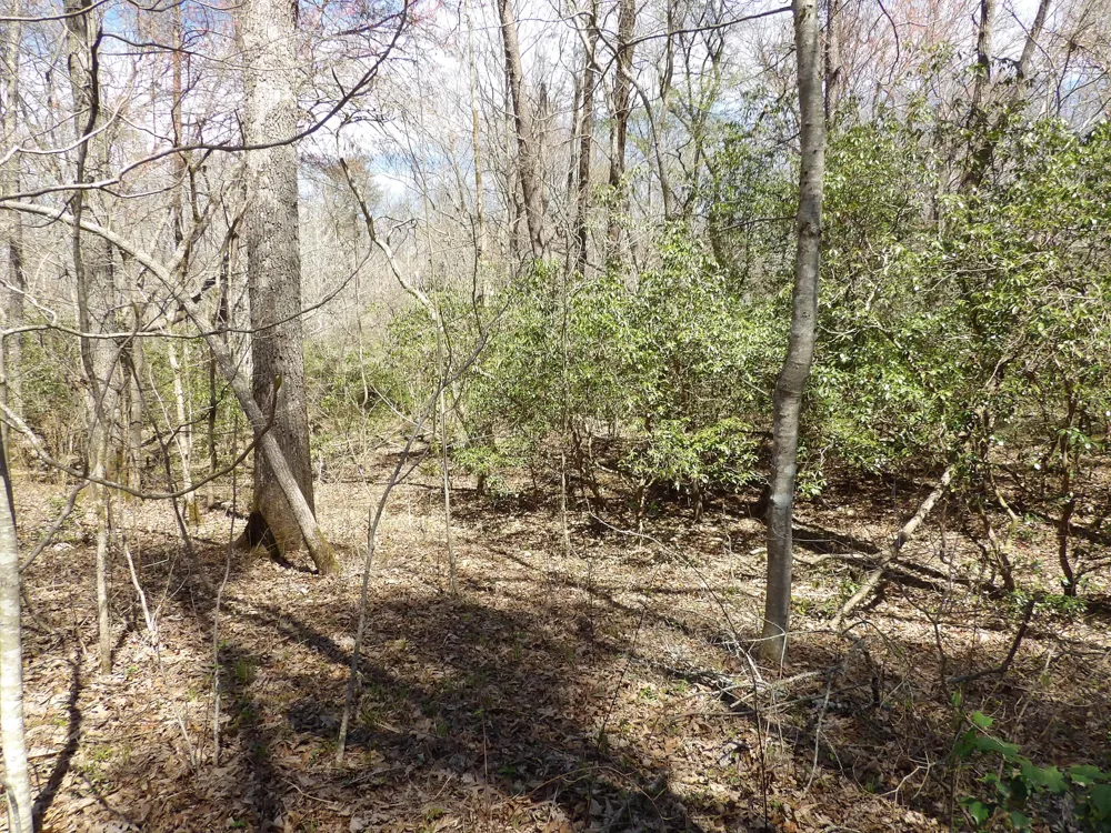 76 Pine Road Pikeville, TN 37367