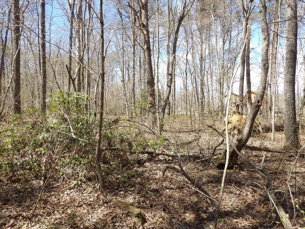 76 Pine Road Pikeville, TN 37367