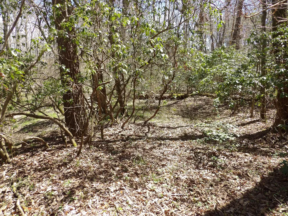 76 Pine Road Pikeville, TN 37367
