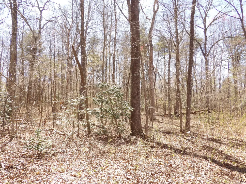 76 Pine Road Pikeville, TN 37367