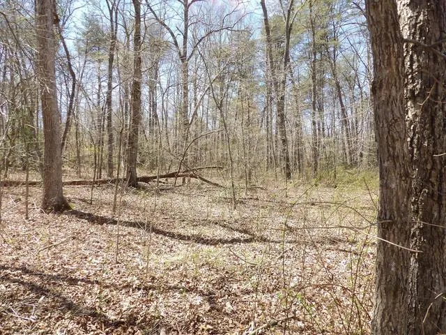 76 Pine Road Pikeville, TN 37367