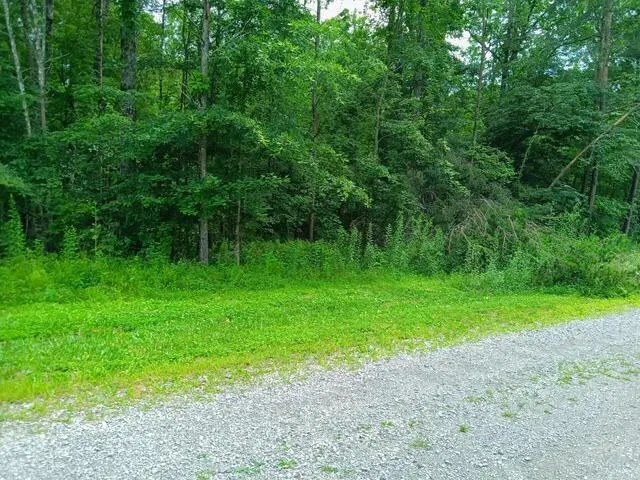 76 Pine Road Pikeville, TN 37367