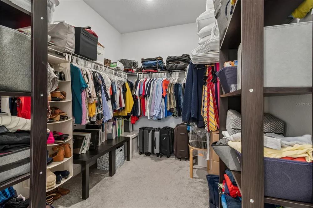 31735 GRIFFIN SANDS LANE San Antonio, FL 33576