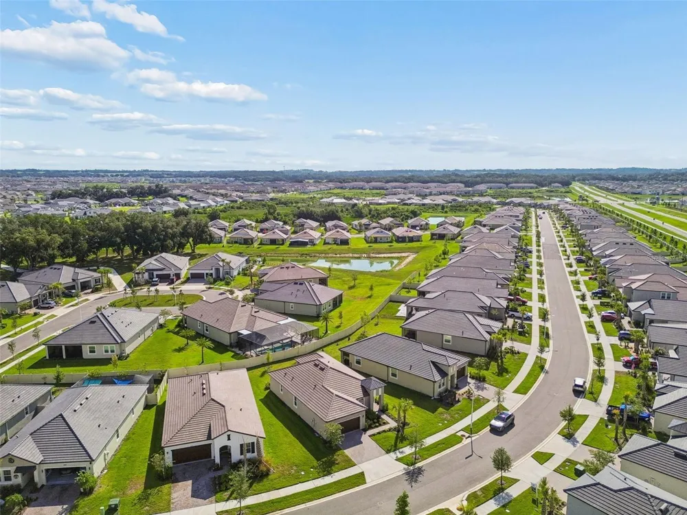 31735 GRIFFIN SANDS LANE San Antonio, FL 33576