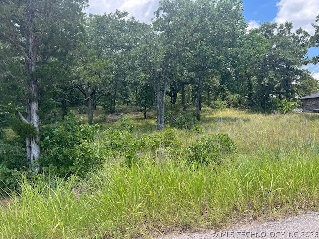 Brandi Lane Tishomingo, OK 73460