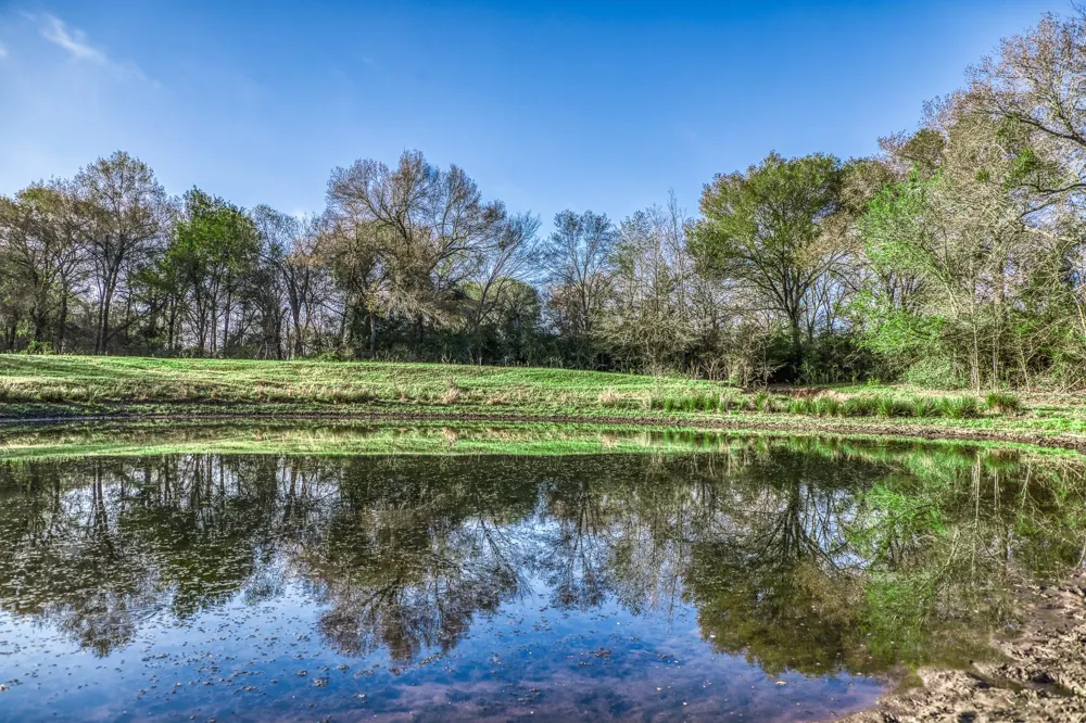 1580 County Road 377 Caldwell, TX 77836