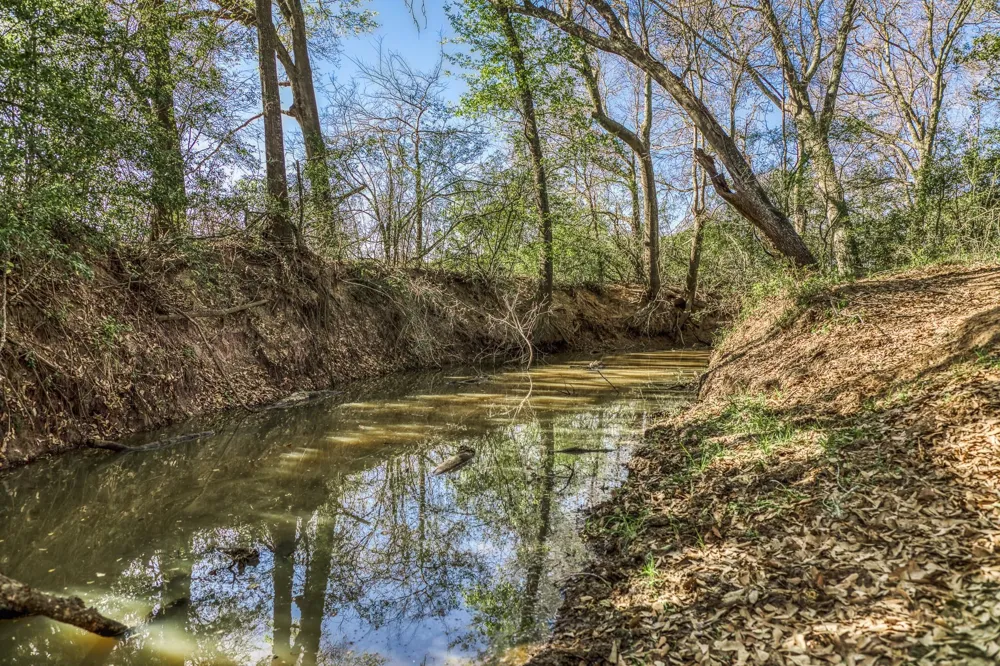 1580 County Road 377 Caldwell, TX 77836