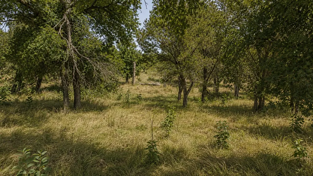 55 Buffalo Creek Drive Evant, TX 76525