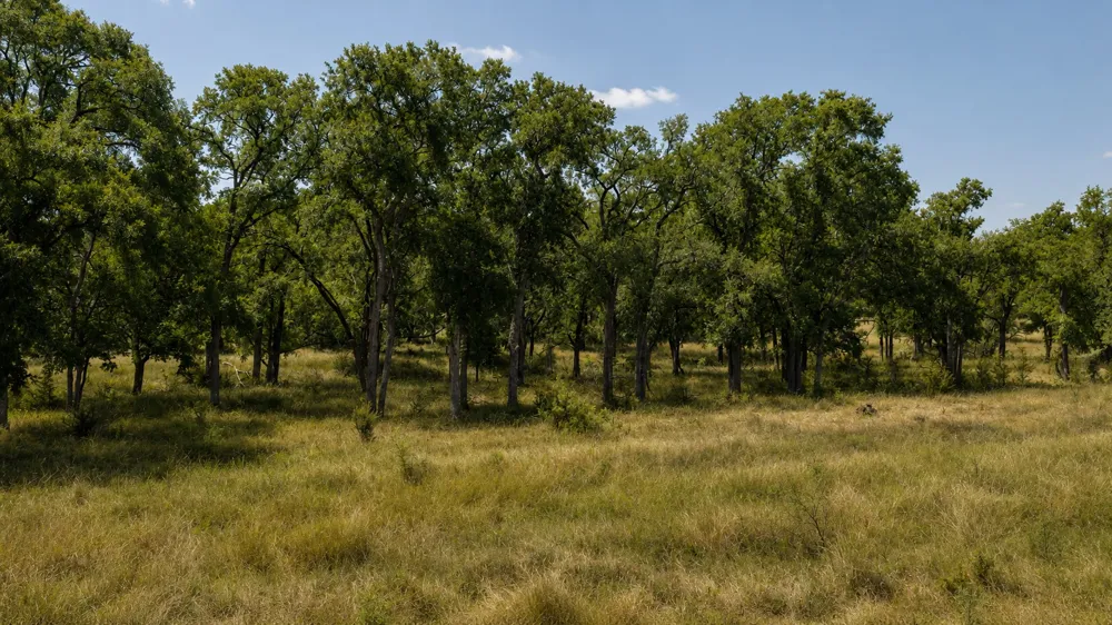 55 Buffalo Creek Drive Evant, TX 76525