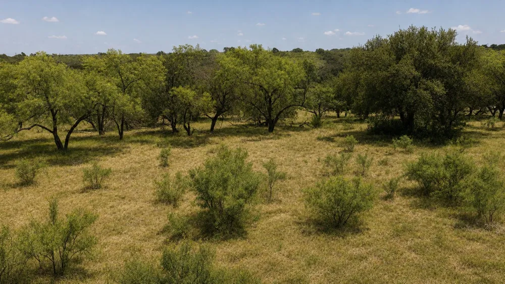 55 Buffalo Creek Drive Evant, TX 76525