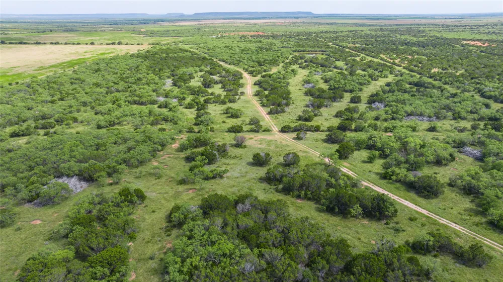 County Road 205 Ovalo, TX 79541