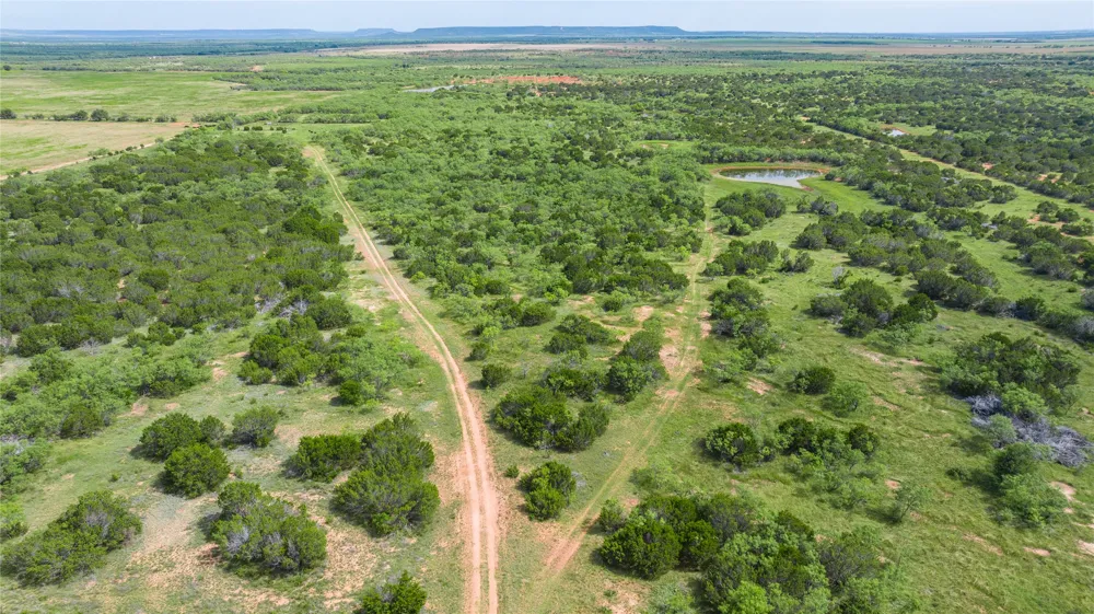 County Road 205 Ovalo, TX 79541