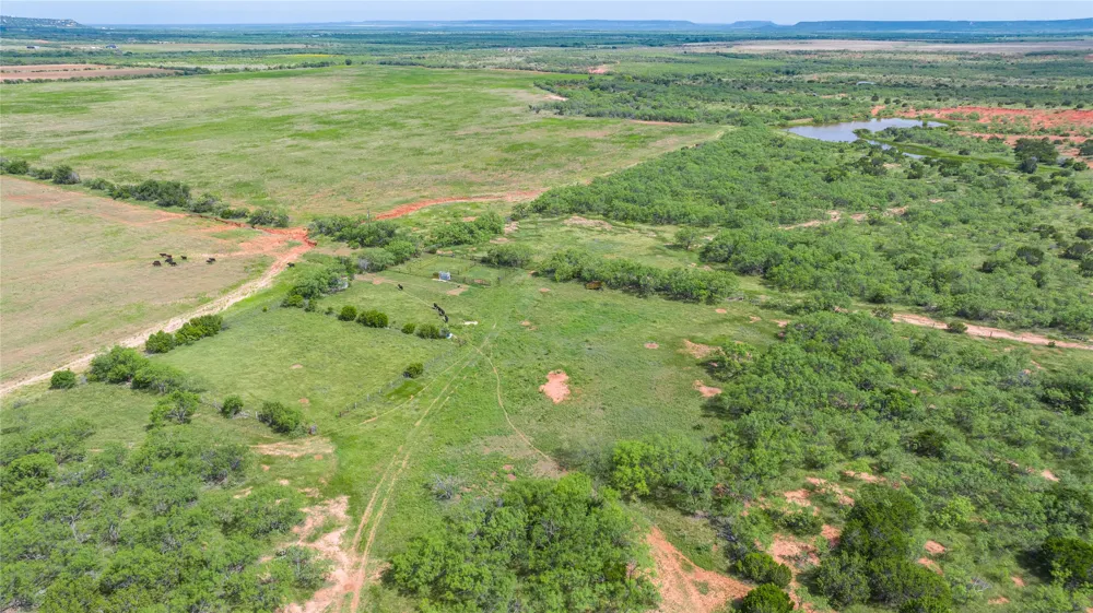 County Road 205 Ovalo, TX 79541