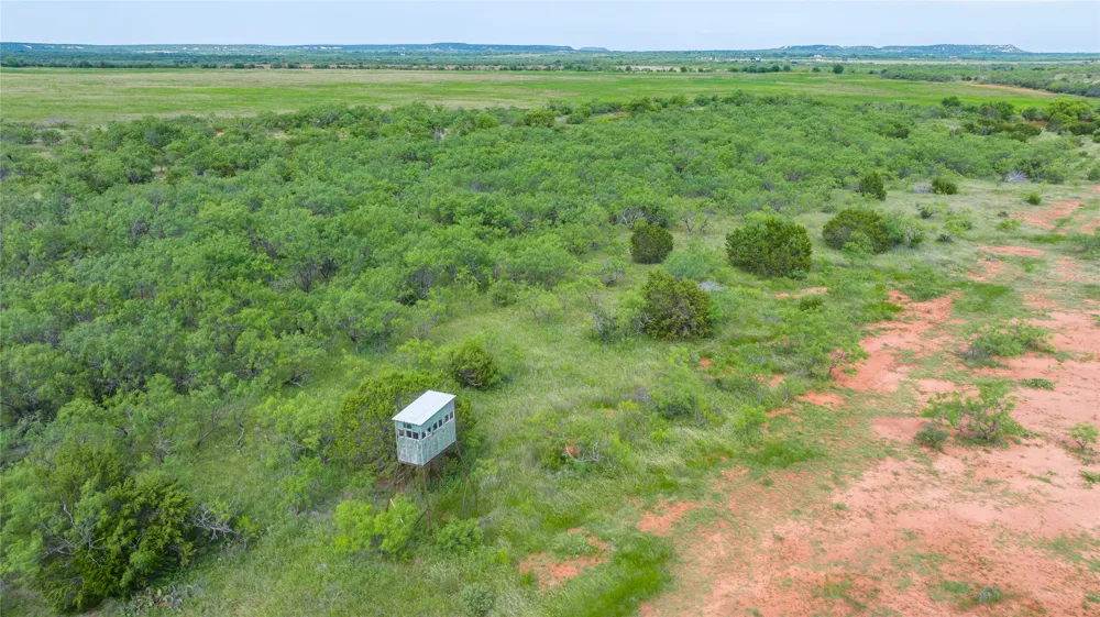 County Road 205 Ovalo, TX 79541