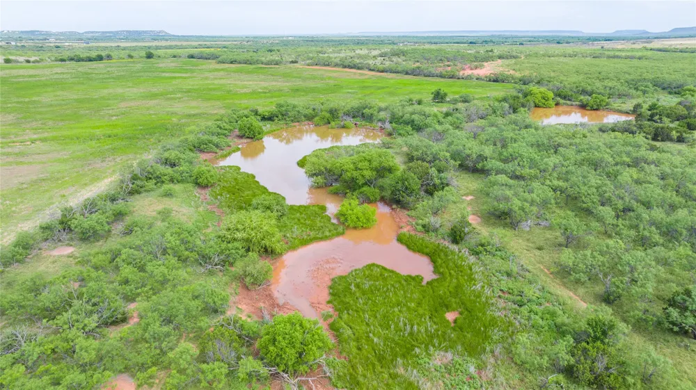 County Road 205 Ovalo, TX 79541