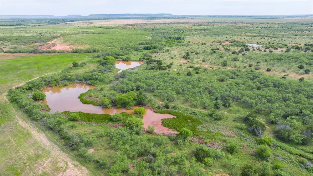County Road 205 Ovalo, TX 79541