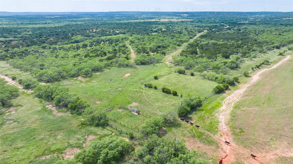 County Road 205 Ovalo, TX 79541