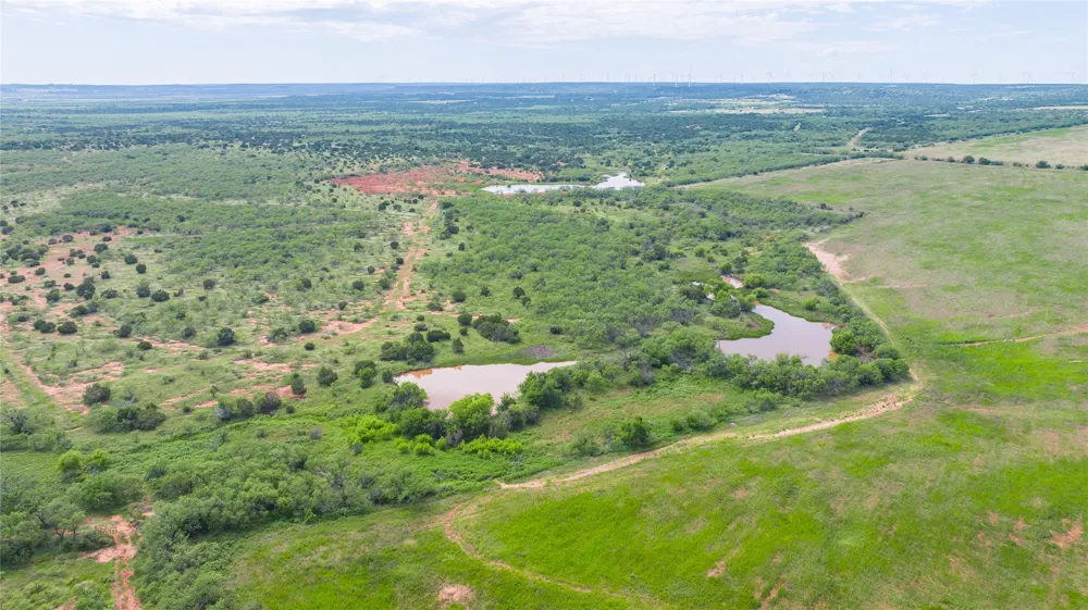 County Road 205 Ovalo, TX 79541