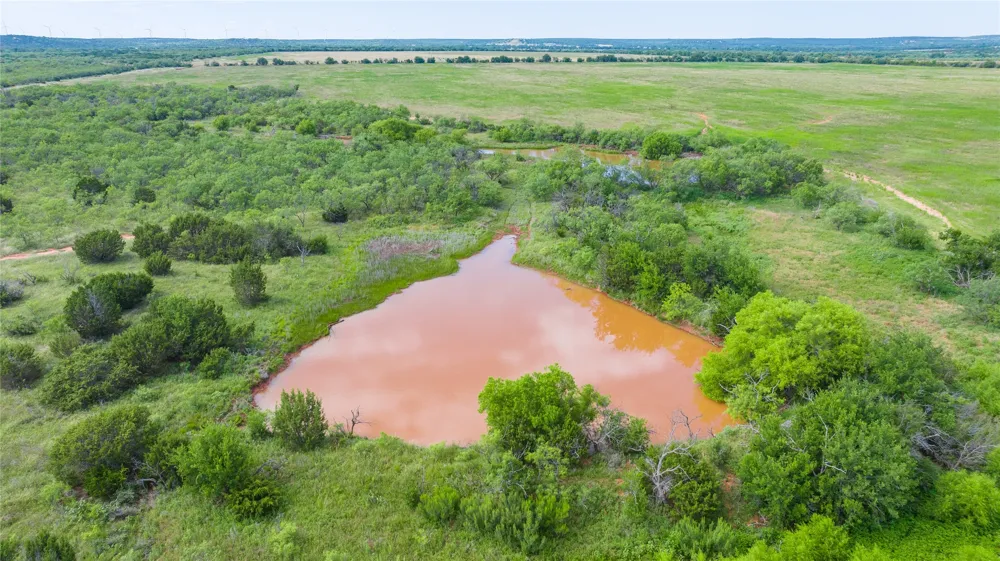 County Road 205 Ovalo, TX 79541
