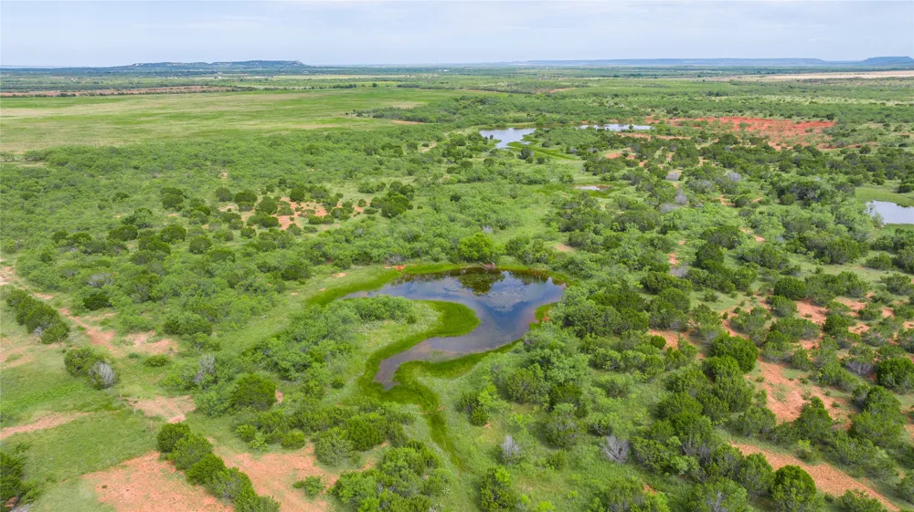 County Road 205 Ovalo, TX 79541