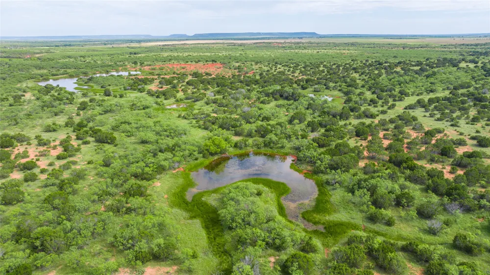 County Road 205 Ovalo, TX 79541