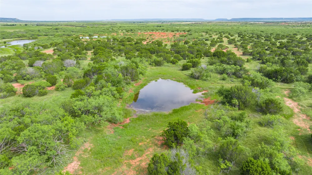 County Road 205 Ovalo, TX 79541