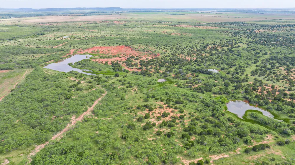County Road 205 Ovalo, TX 79541