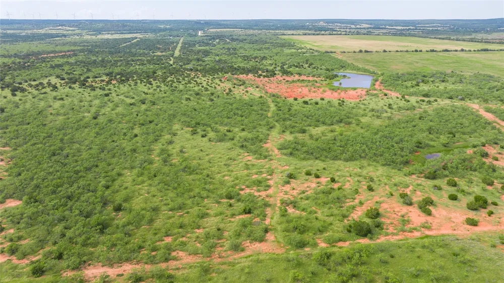 County Road 205 Ovalo, TX 79541