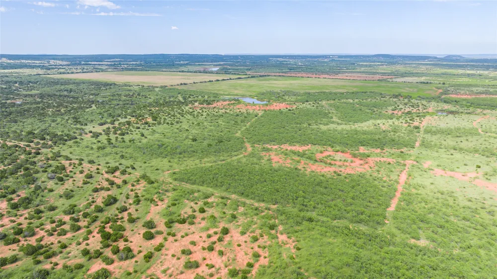 County Road 205 Ovalo, TX 79541