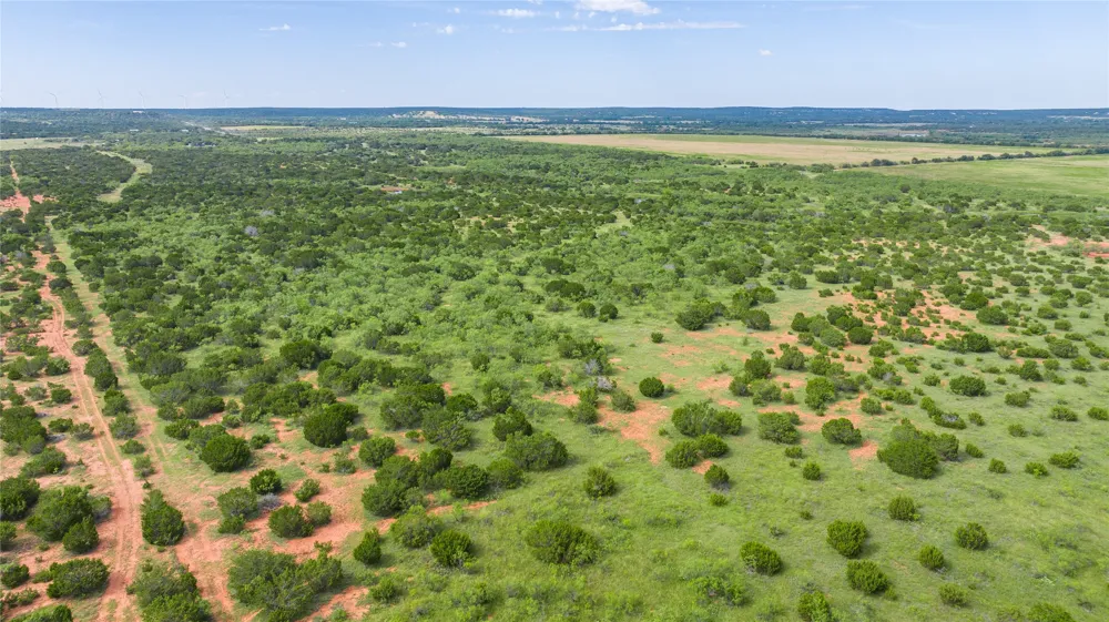 County Road 205 Ovalo, TX 79541