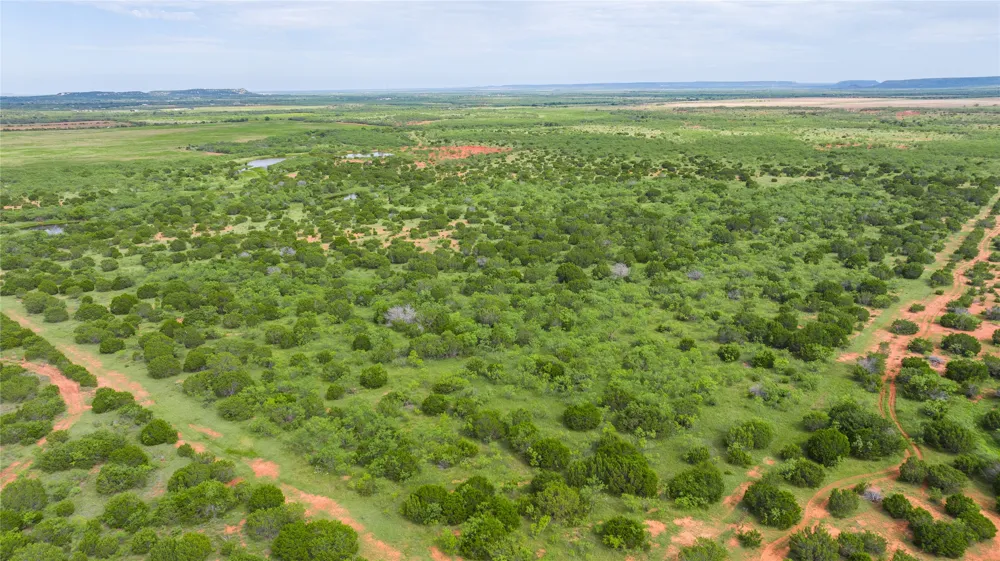 County Road 205 Ovalo, TX 79541
