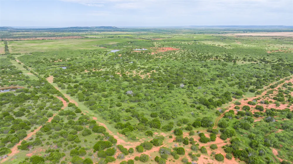 County Road 205 Ovalo, TX 79541