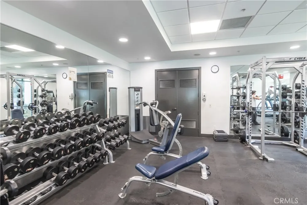 13045 Pacific Promenade #303 Playa Vista, CA 90094