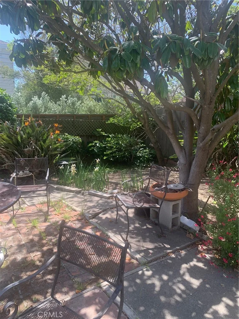 1567 La Salle San Francisco, CA 94124