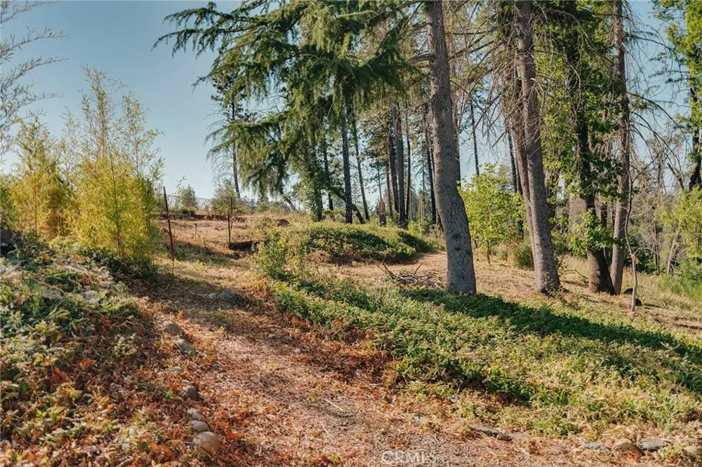 1837 Clear Brook Lane Paradise, CA 95969