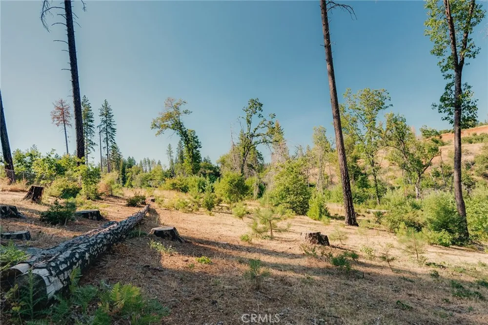 1837 Clear Brook Lane Paradise, CA 95969
