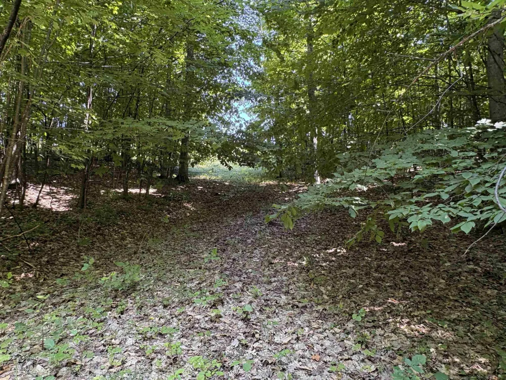 1927 Blue Water Court Suttons Bay Township, MI 49682
