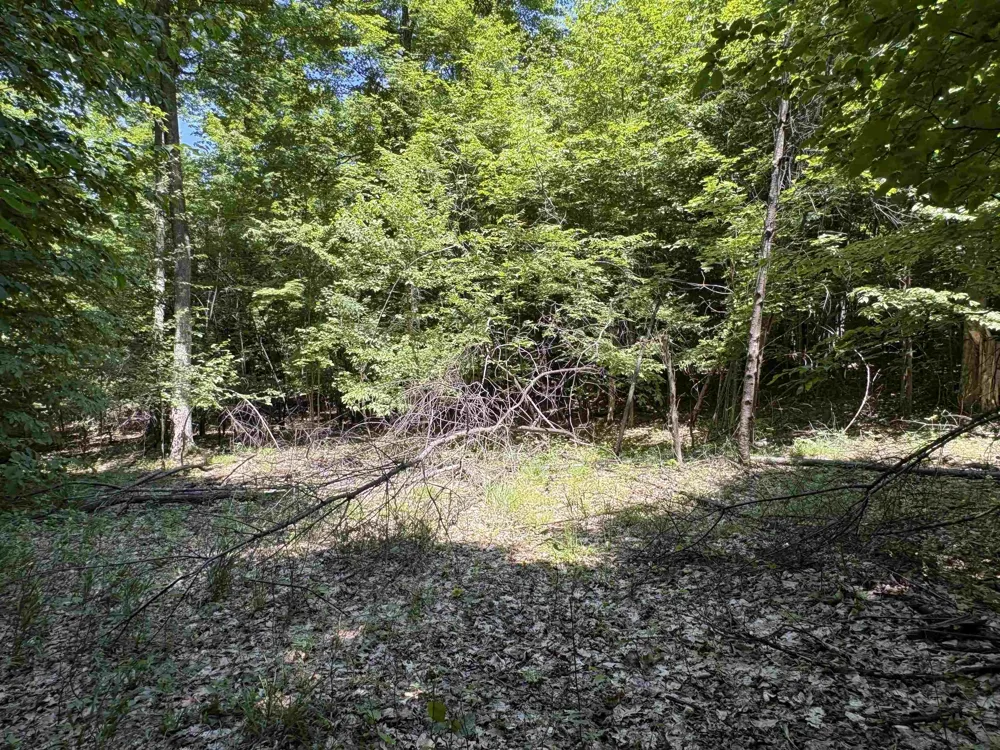 1927 Blue Water Court Suttons Bay Township, MI 49682