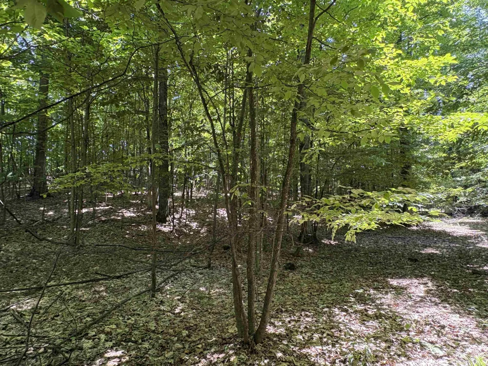 1927 Blue Water Court Suttons Bay Township, MI 49682