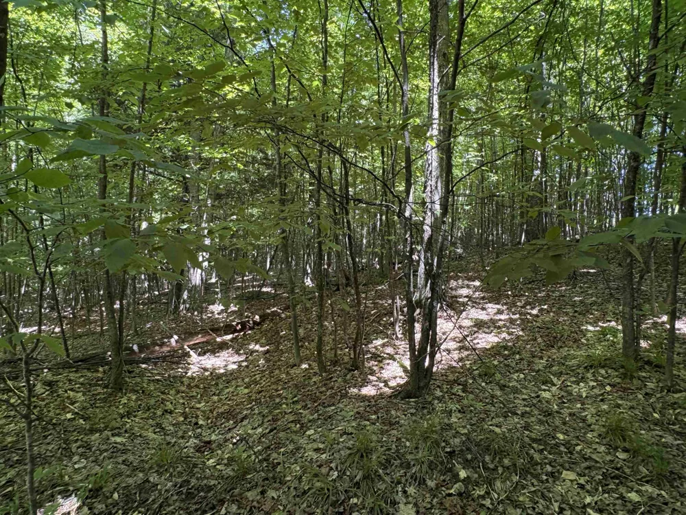 1927 Blue Water Court Suttons Bay Township, MI 49682