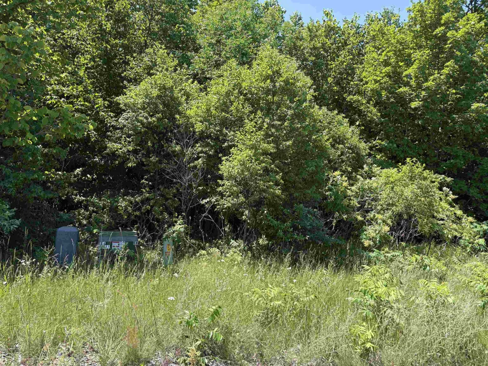 1927 Blue Water Court Suttons Bay Township, MI 49682
