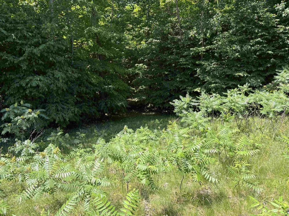 1927 Blue Water Court Suttons Bay Township, MI 49682