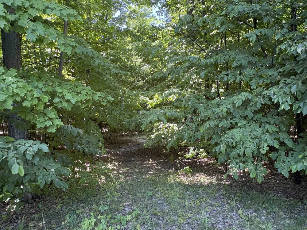 1927 Blue Water Court Suttons Bay Township, MI 49682