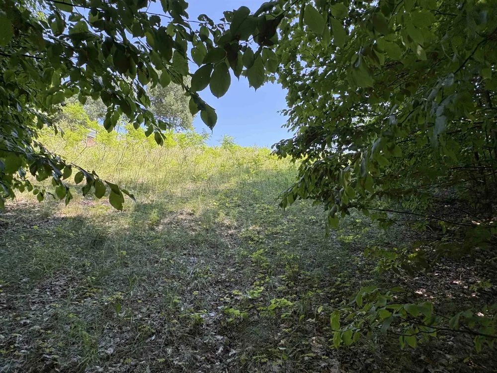 1927 Blue Water Court Suttons Bay Township, MI 49682