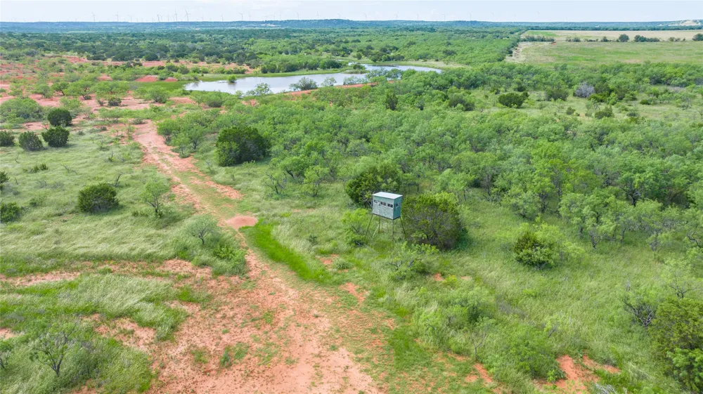 County Road 205 Ovalo, TX 79541