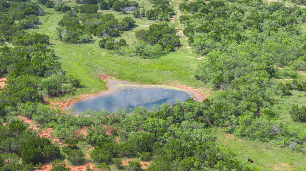 County Road 207 Ovalo, TX 79541
