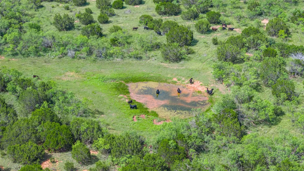 County Road 207 Ovalo, TX 79541